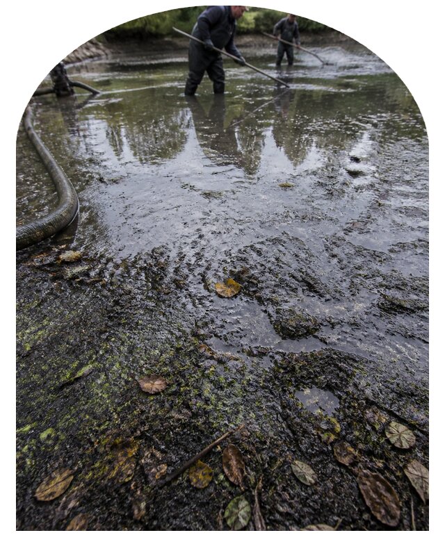 Очистка пруда в Коломне от ила мусора и водорослей с вывозом